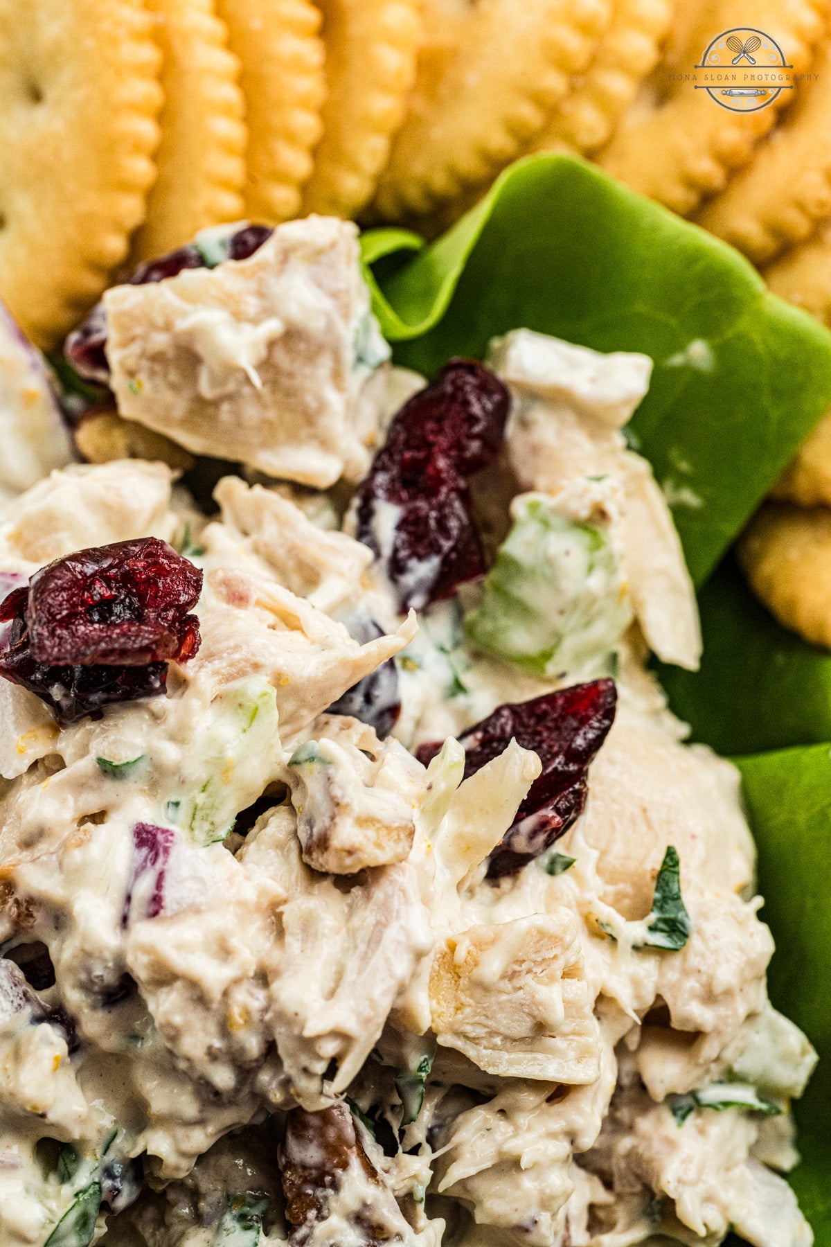 Cranberry Chicken Salad
