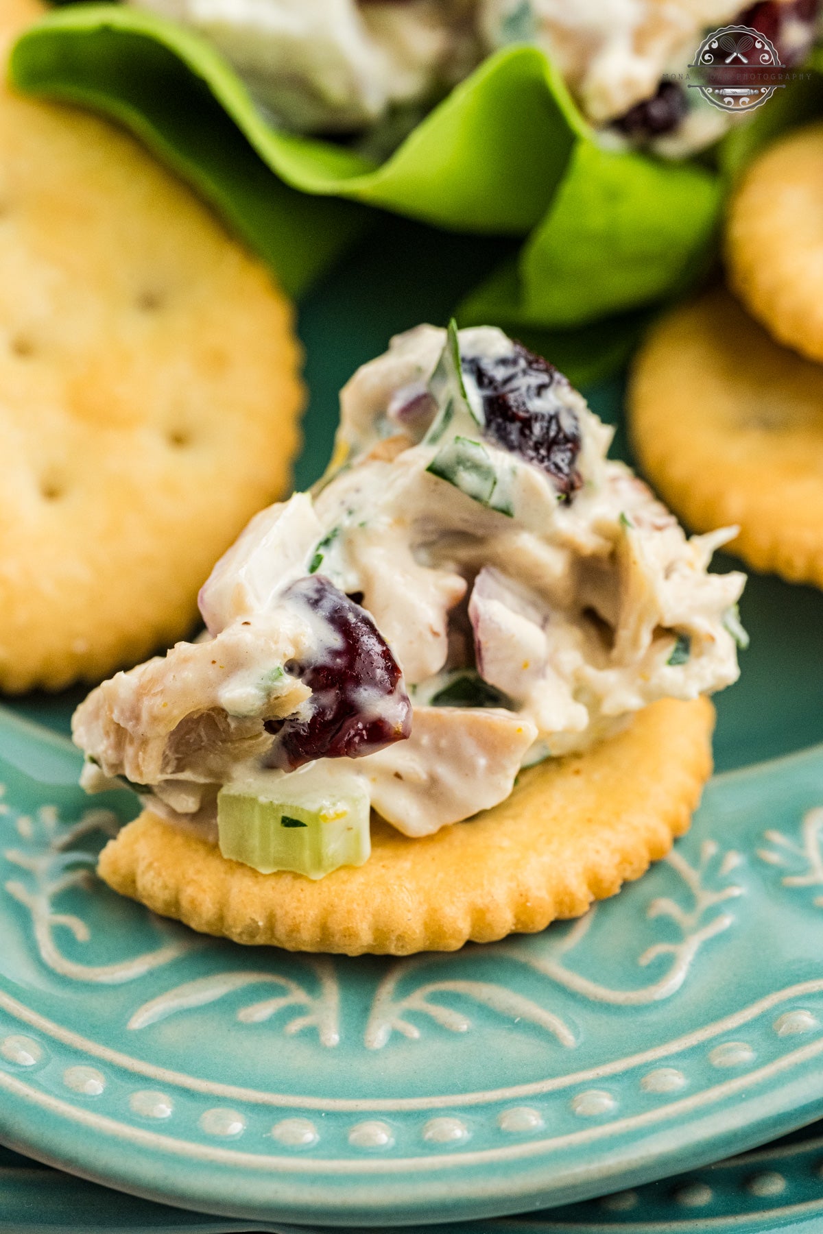 Cranberry Chicken Salad