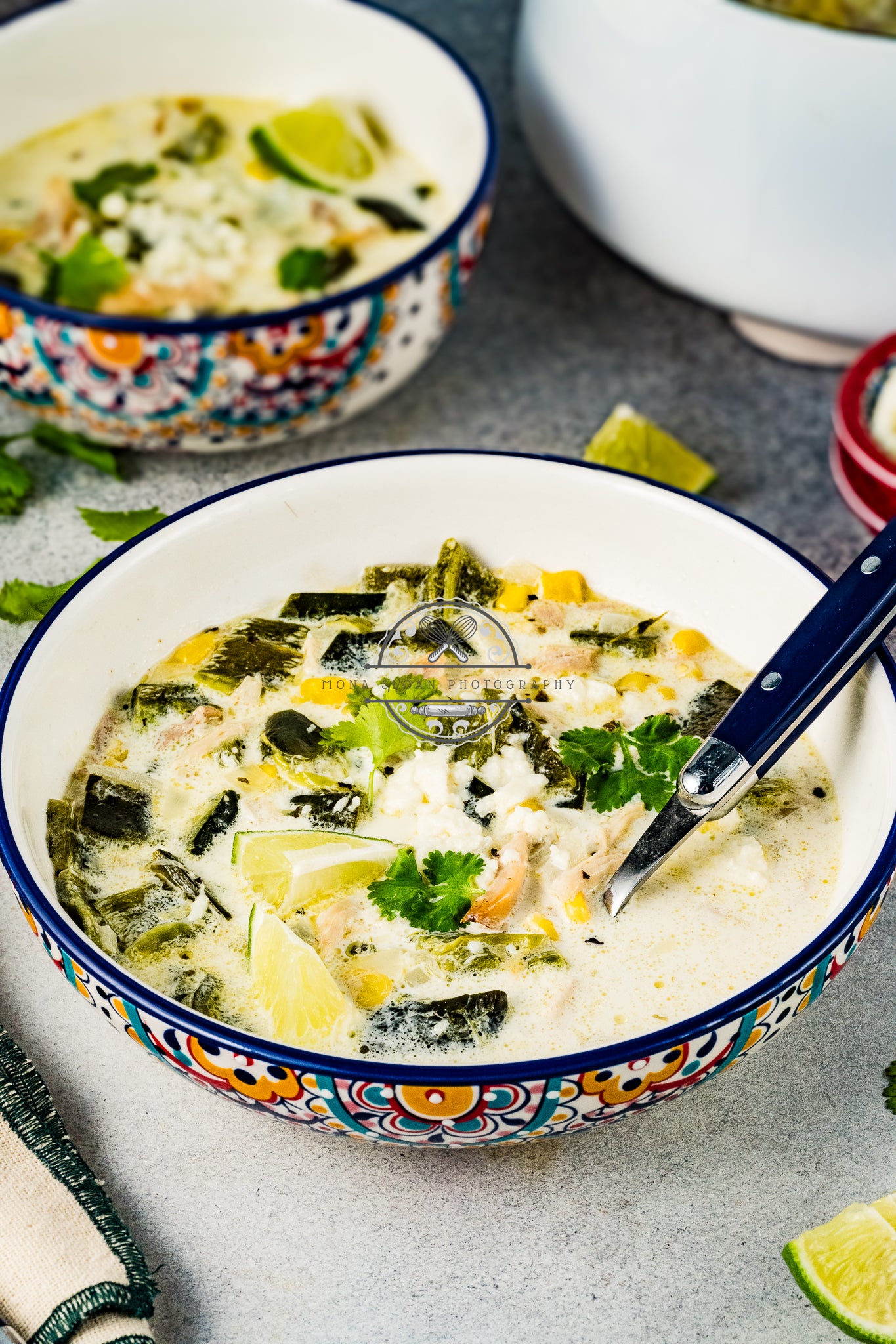 Poblano Chicken Soup