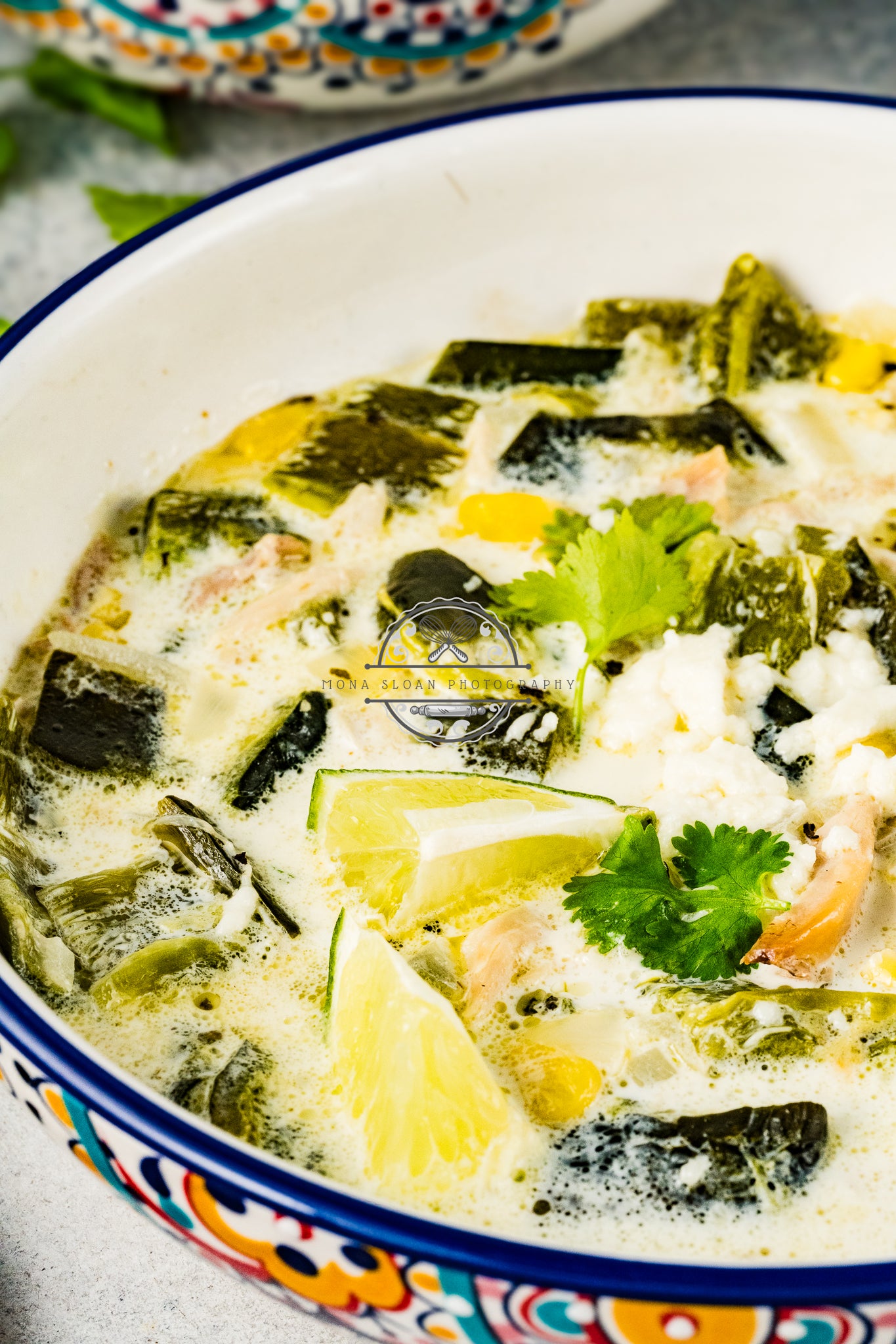 Poblano Chicken Soup