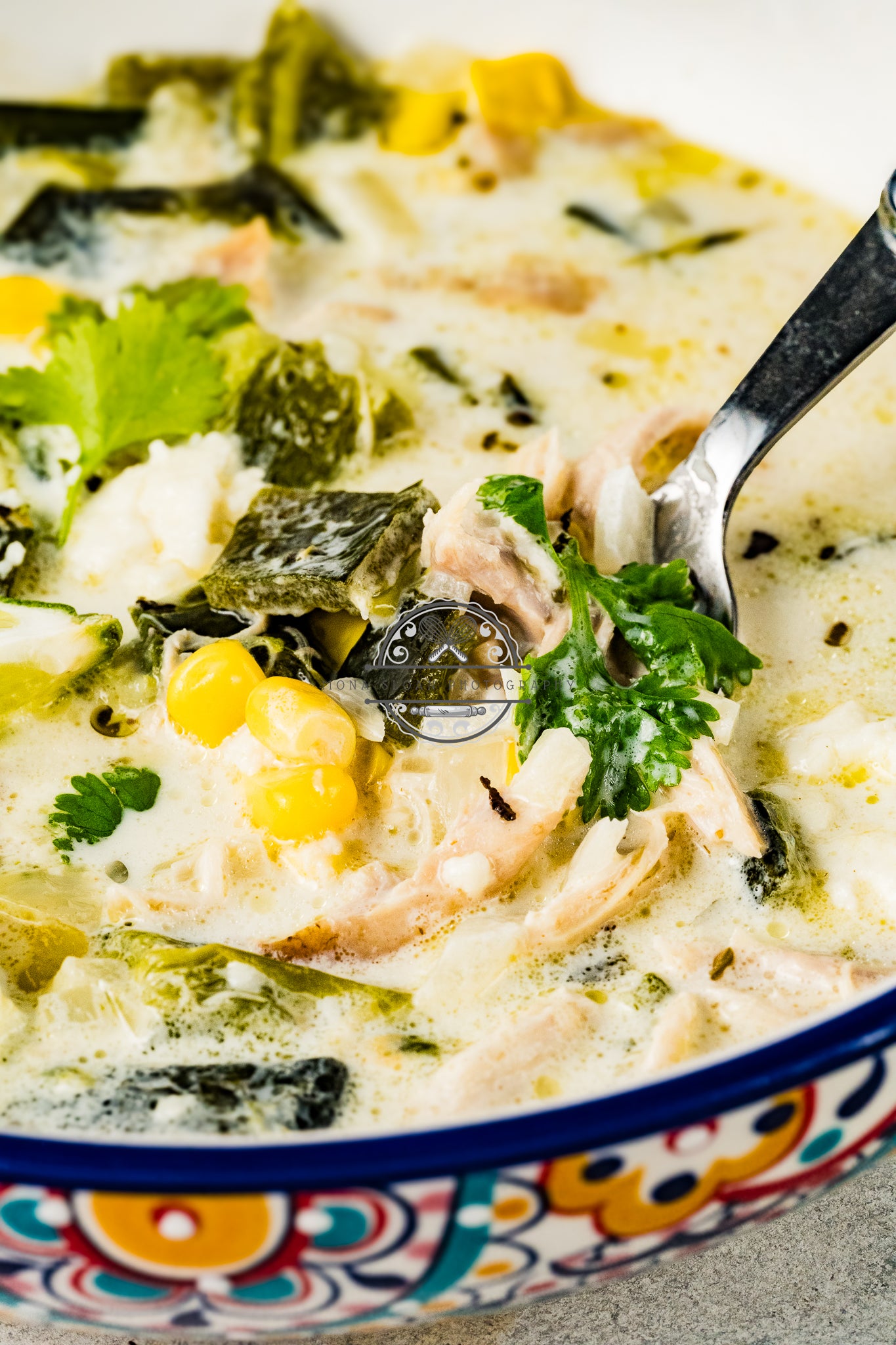 Poblano Chicken Soup