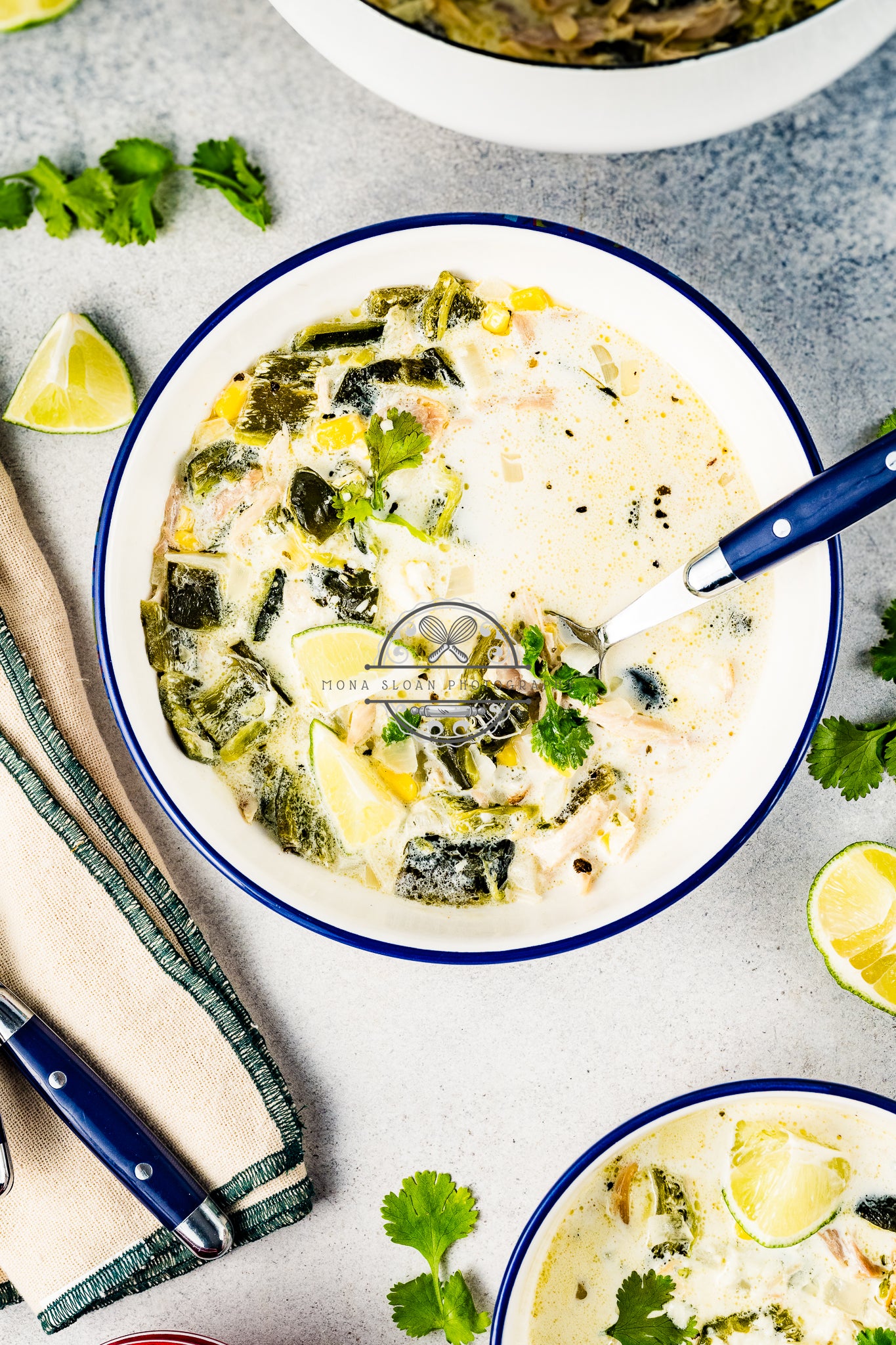 Poblano Chicken Soup