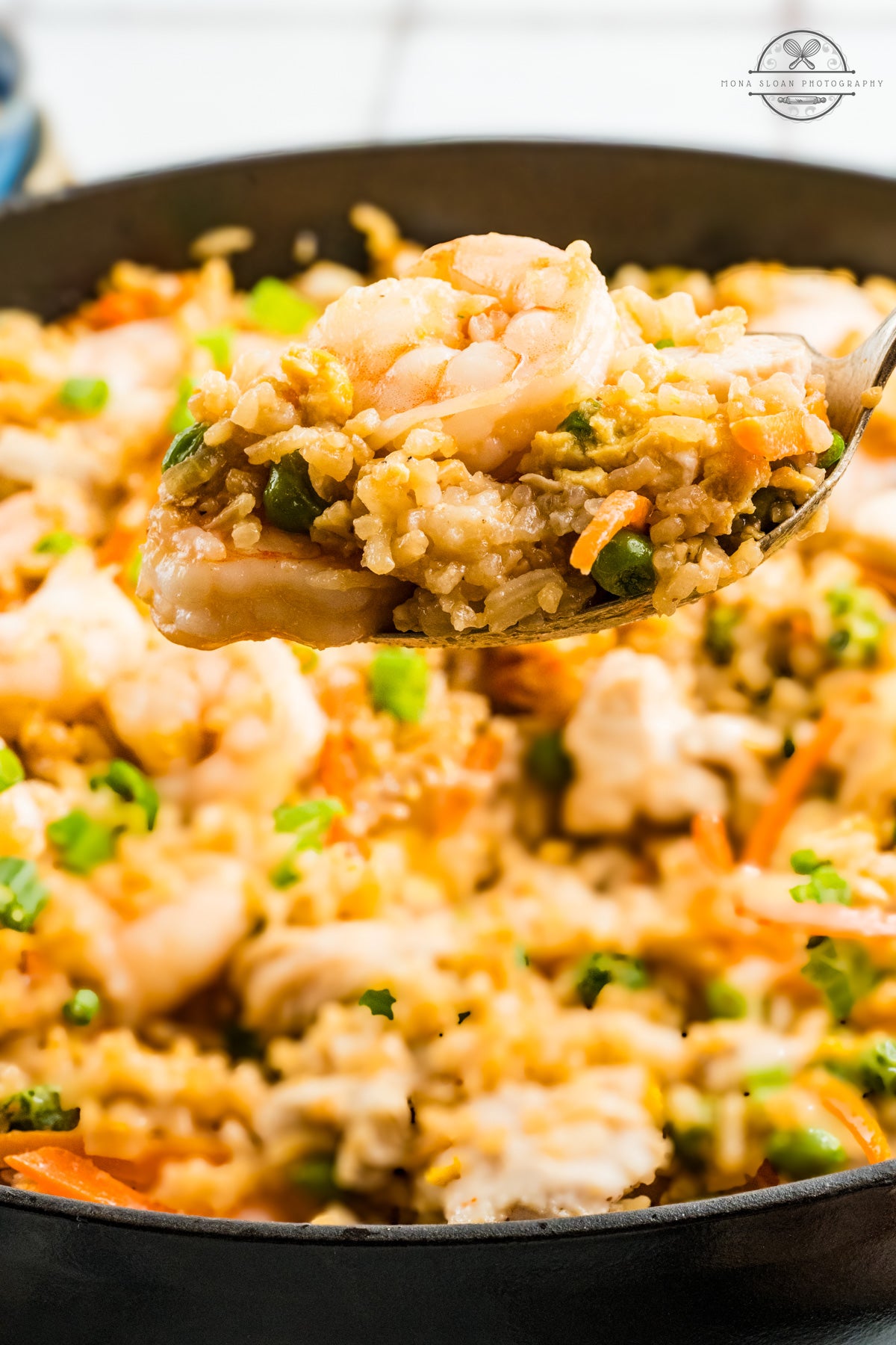 Shrimp and Chicken Fried Rice