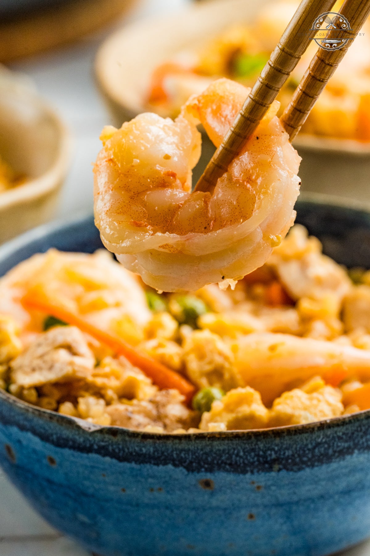 Shrimp and Chicken Fried Rice