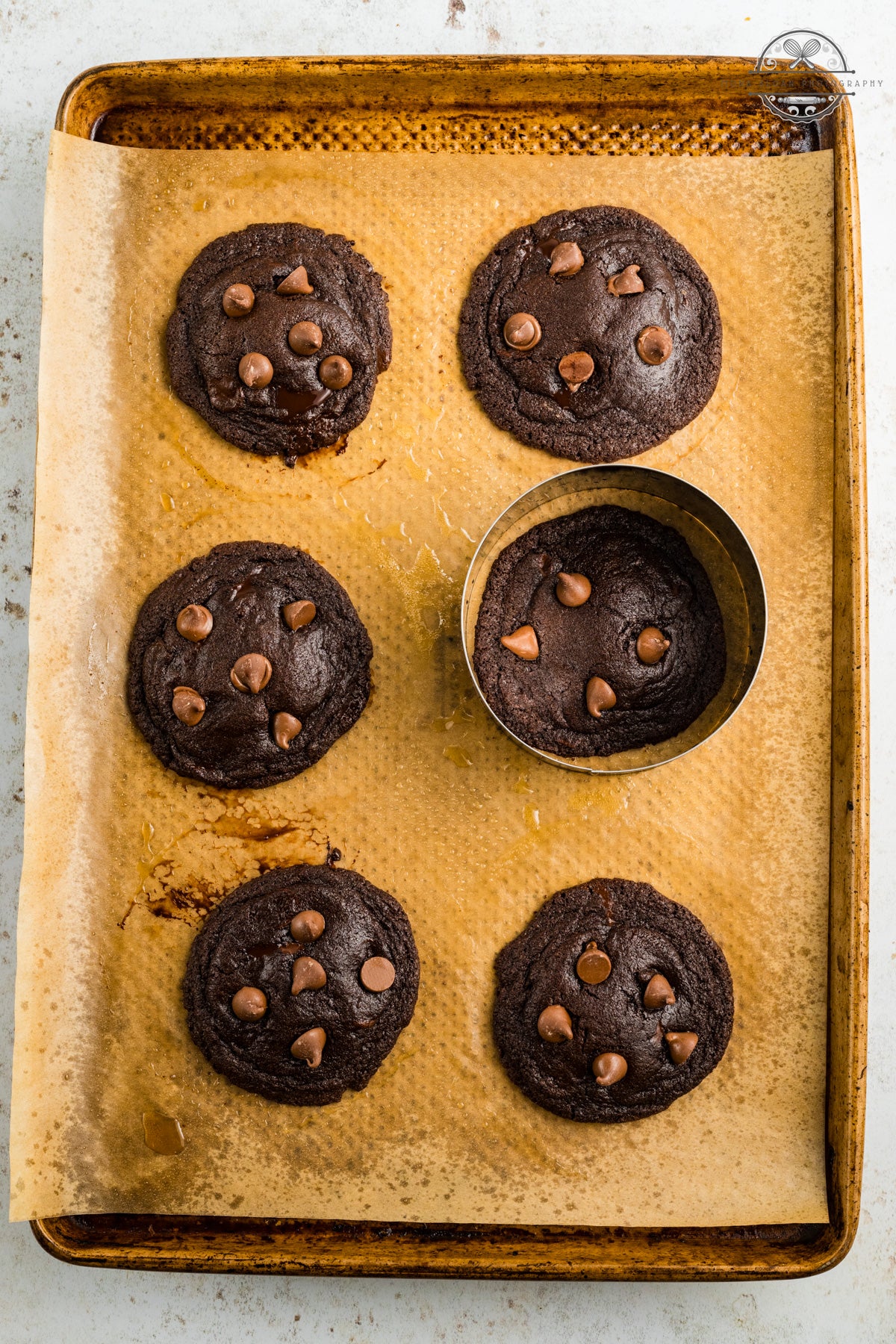 Chocolate Chocolate Chunk Cookies