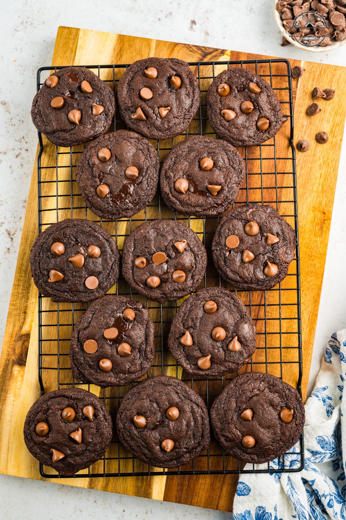 Chocolate Chocolate Chunk Cookies