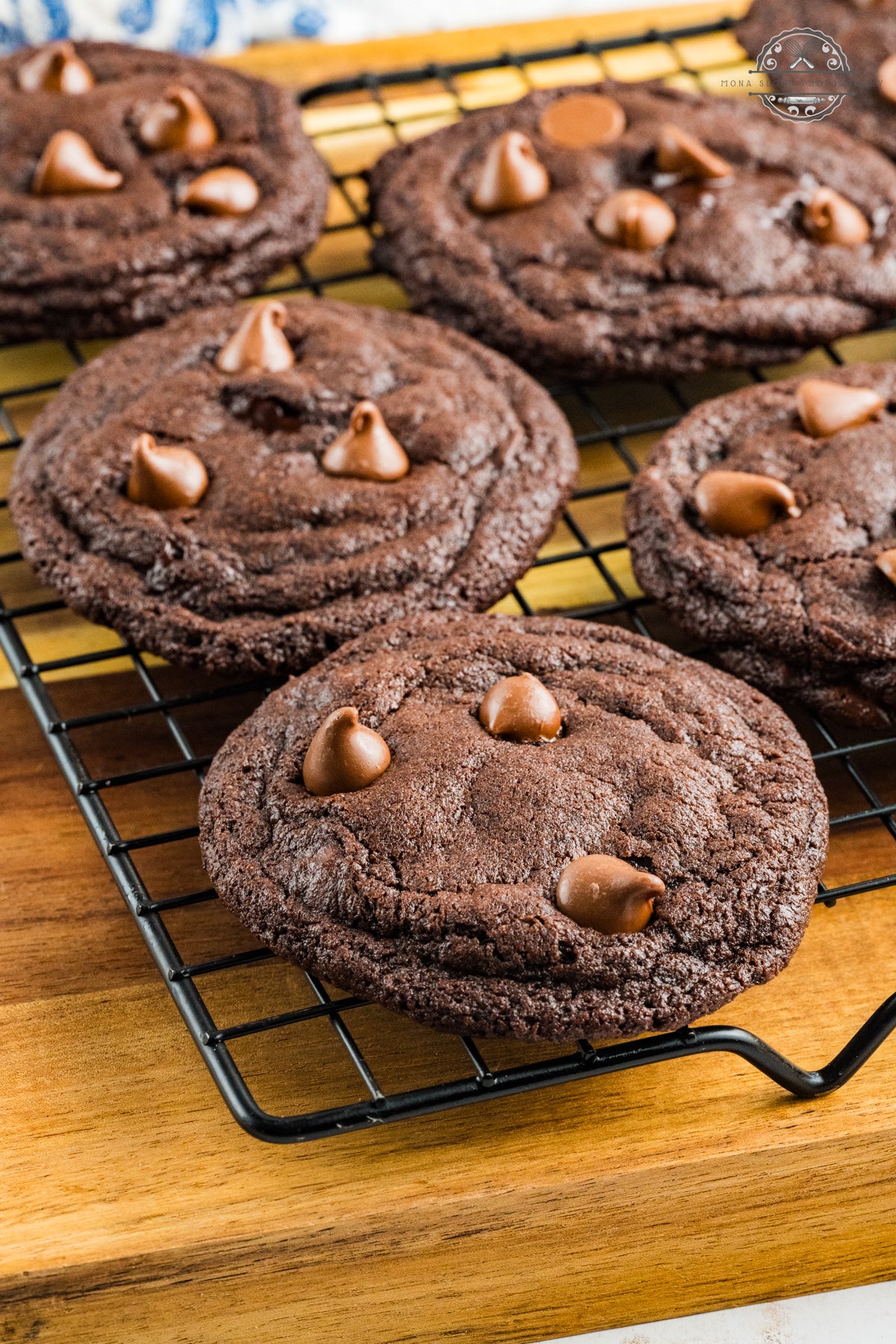Chocolate Chocolate Chunk Cookies