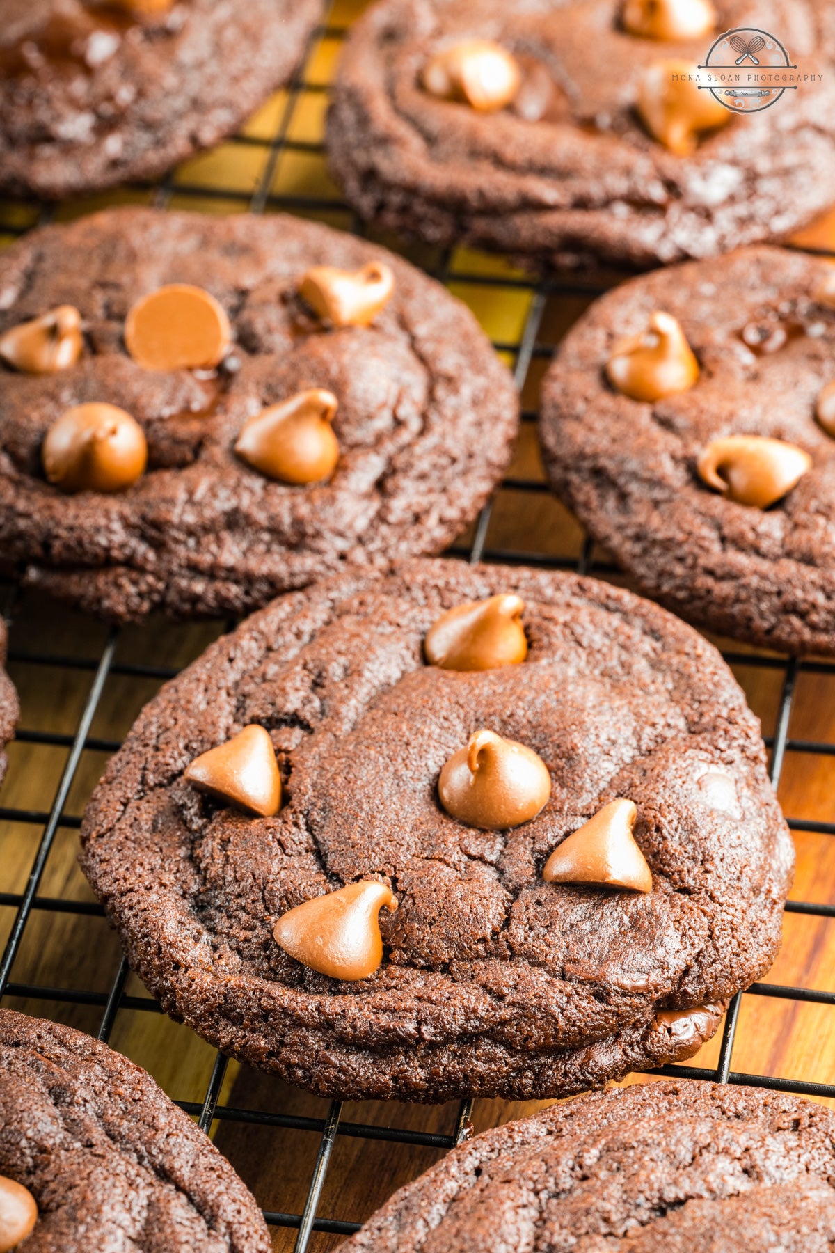 Chocolate Chocolate Chunk Cookies