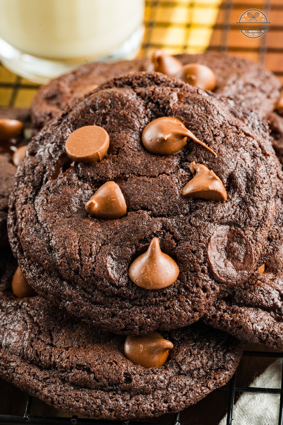Chocolate Chocolate Chunk Cookies